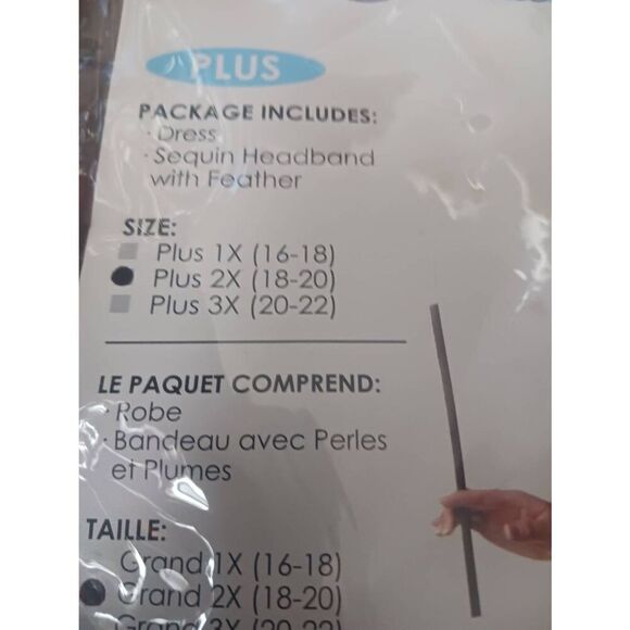 California costumes plus size fashion flapper 2XL - Picture 2 of 2